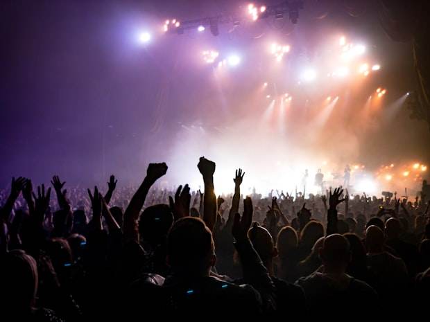 A crowd at a live event